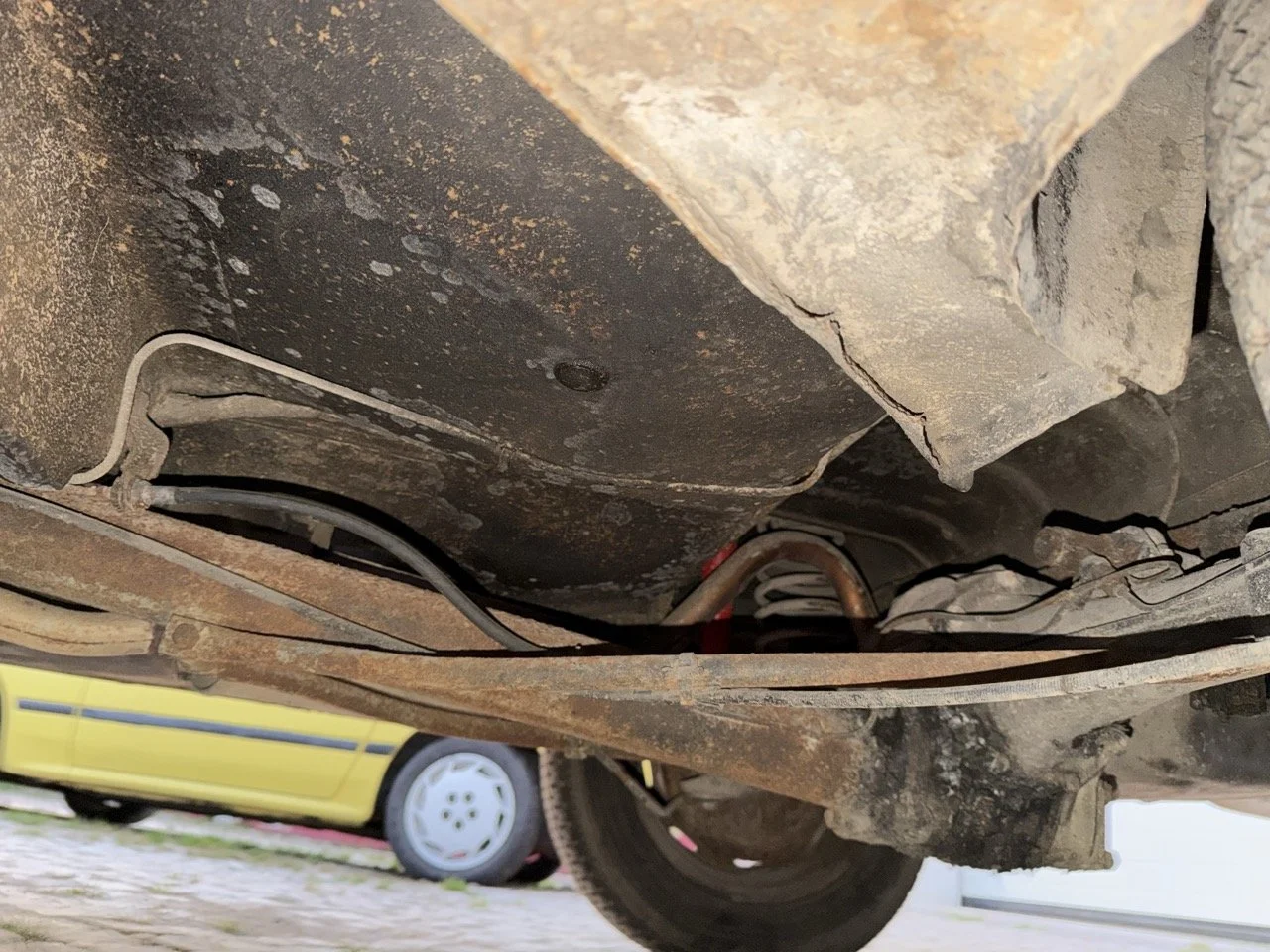 IMG_7559 – grande.jpeg