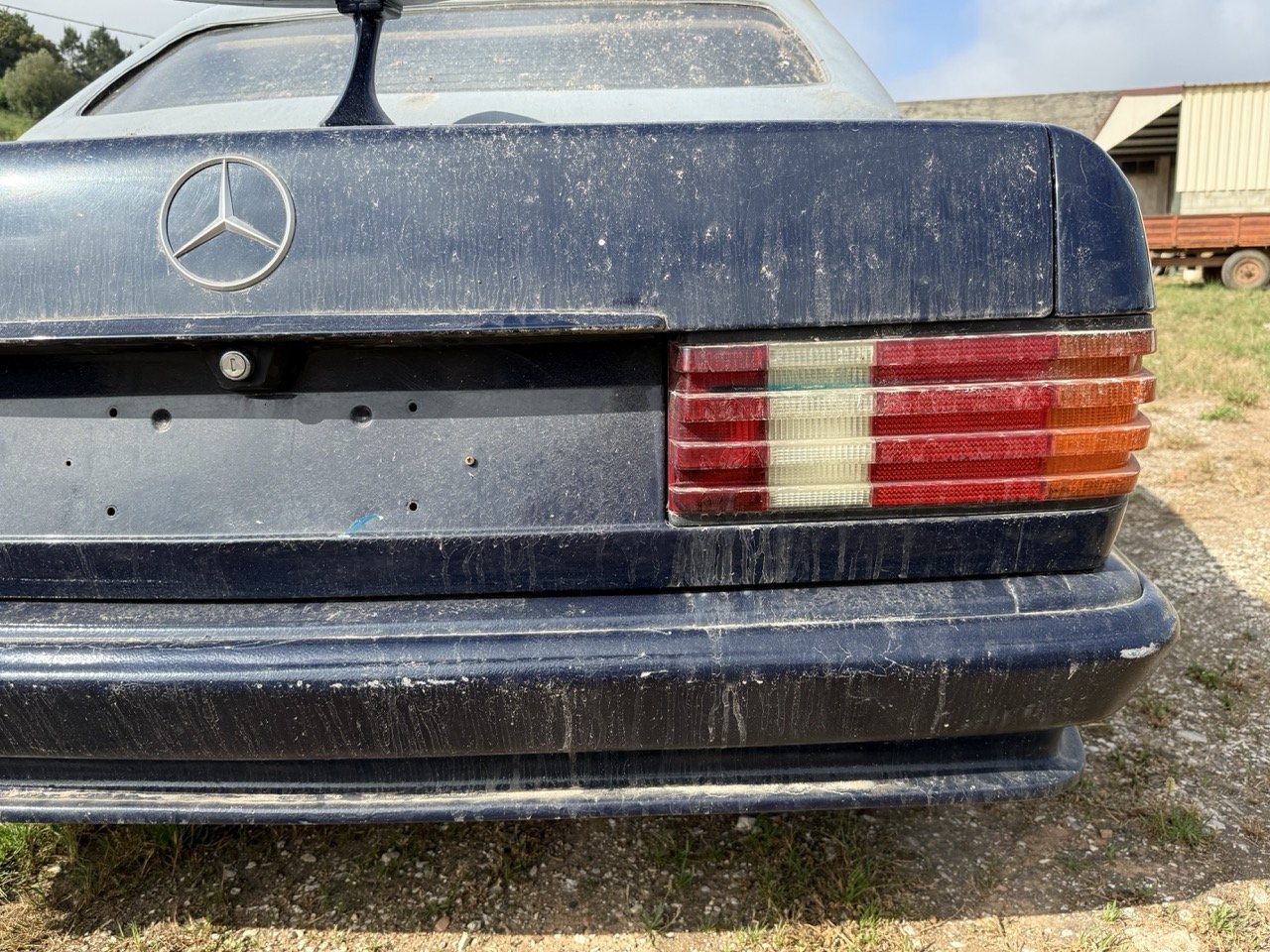 IMG_3402 – grande.jpeg