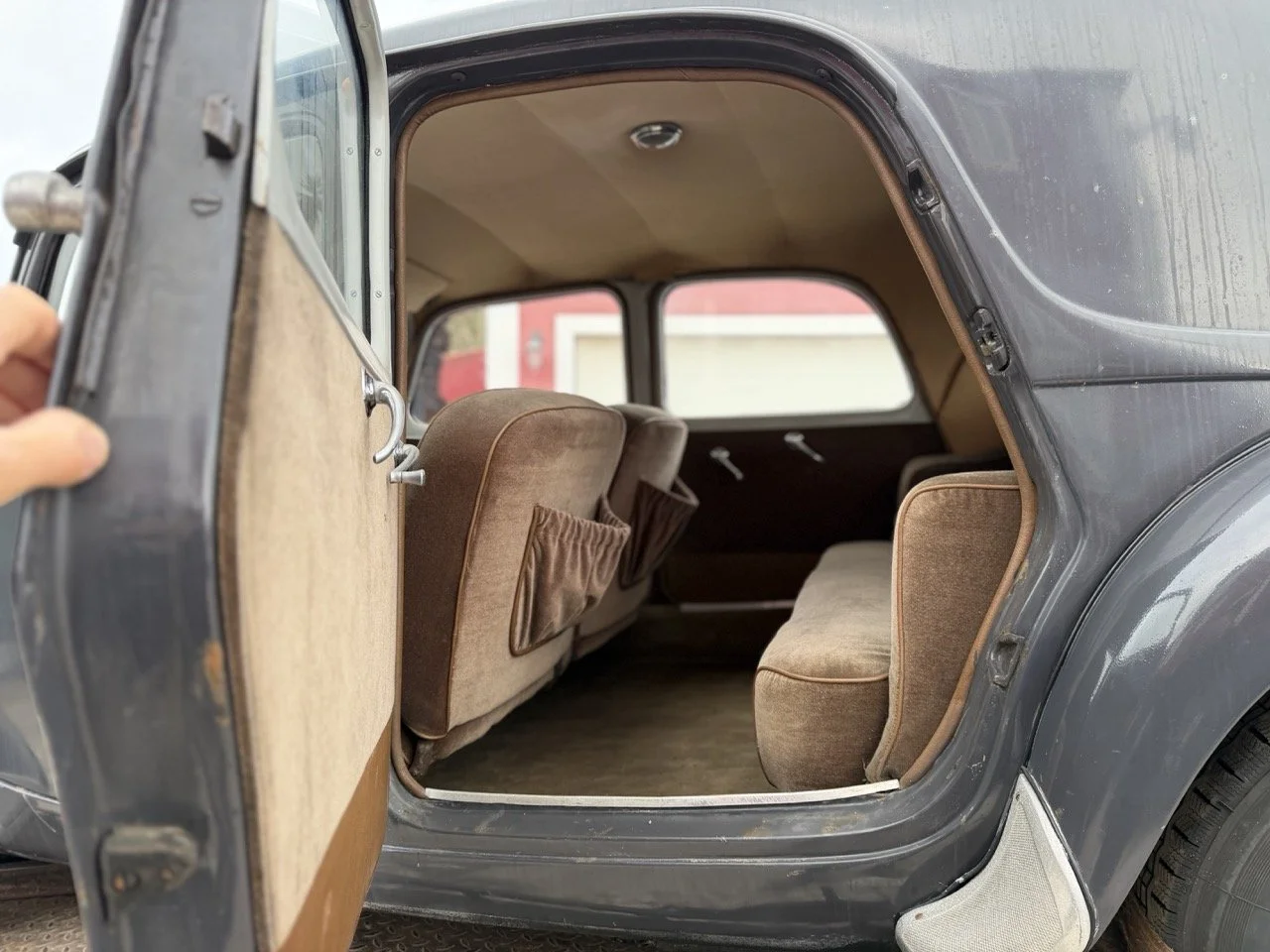 IMG_1839 – grande.jpeg