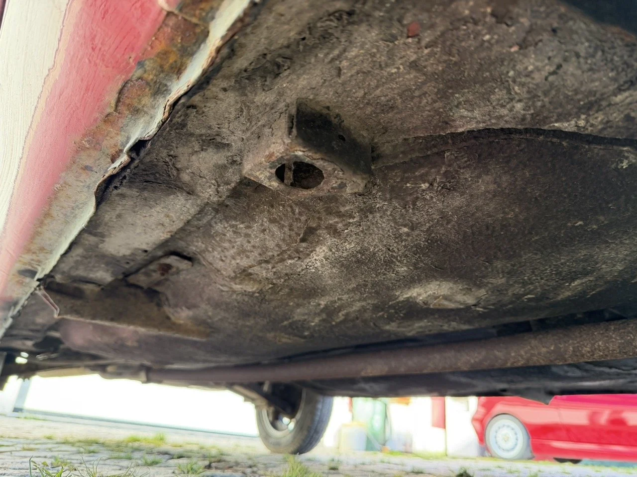 IMG_7221 – grande.jpeg