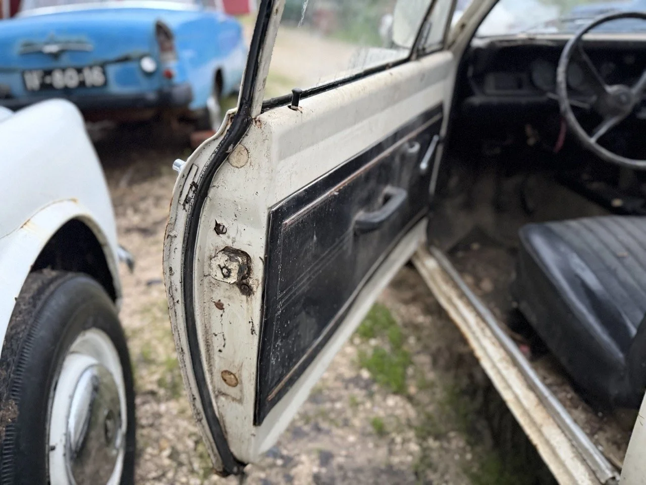 IMG_0120 – grande.jpeg