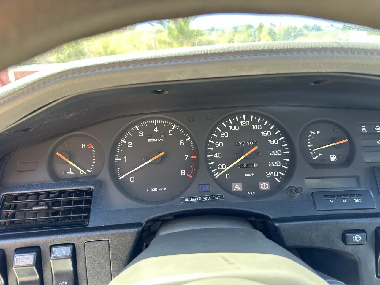 IMG_3043 – grande.jpeg