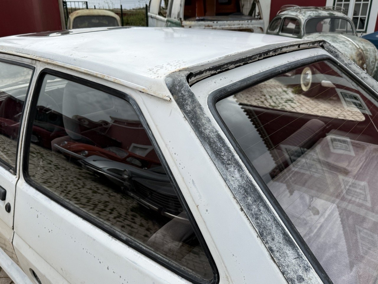 IMG_8588 – grande.jpeg