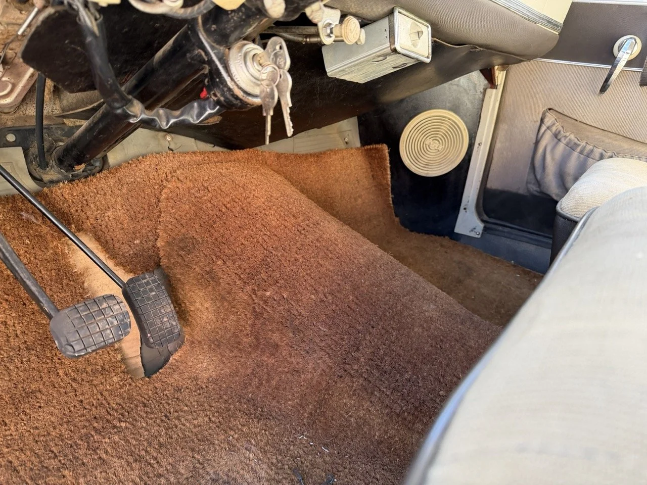 IMG_6680 – grande.jpeg