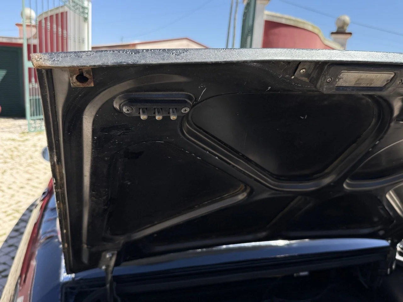 IMG_2216 – grande.jpeg