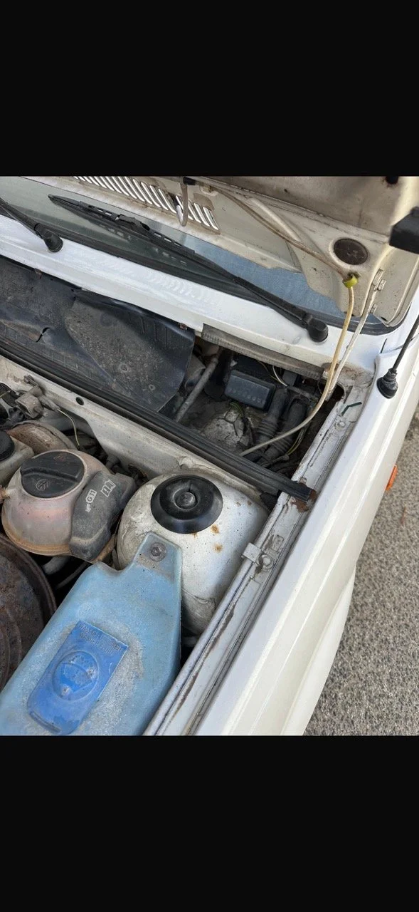 IMG_5270 – grande.jpeg