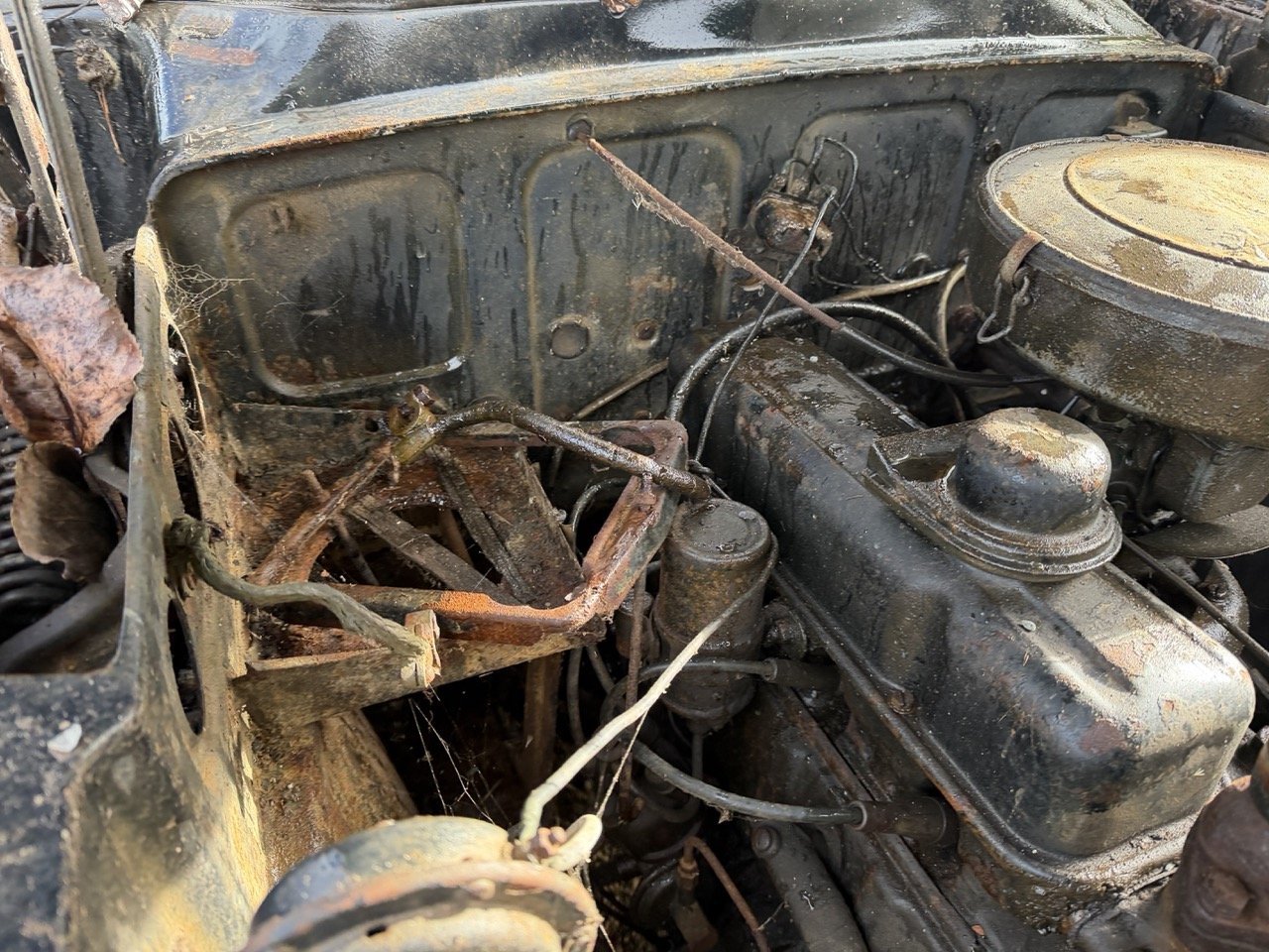 IMG_5095 – grande.jpeg