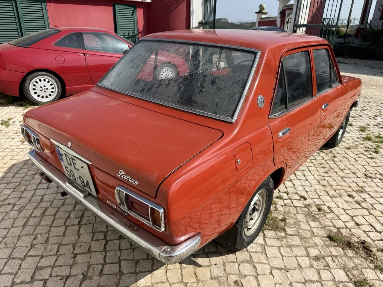 IMG_3595 – grande.jpeg