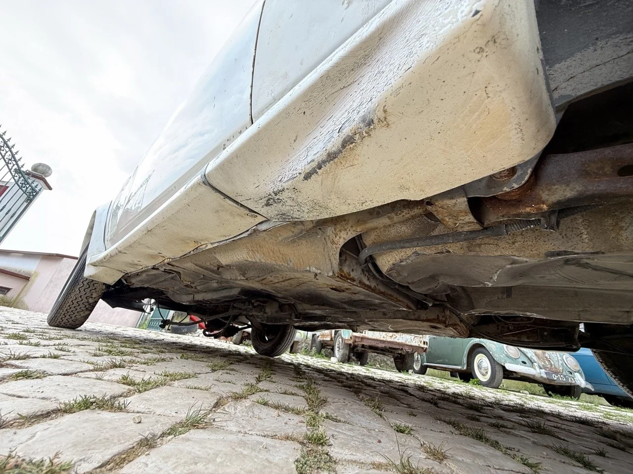 IMG_8635 – grande.jpeg