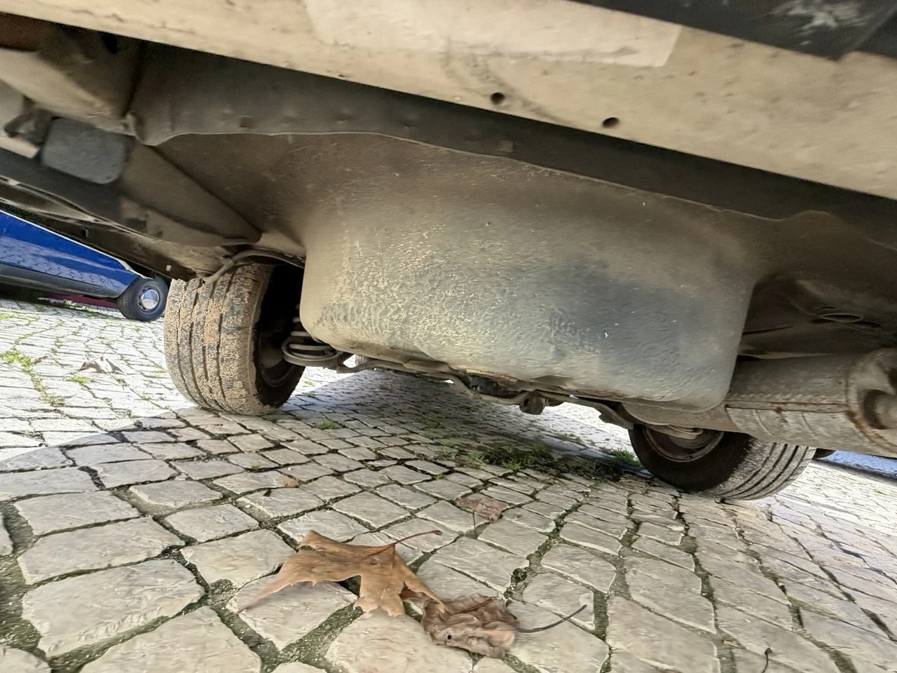 IMG_2048 – grande.jpeg