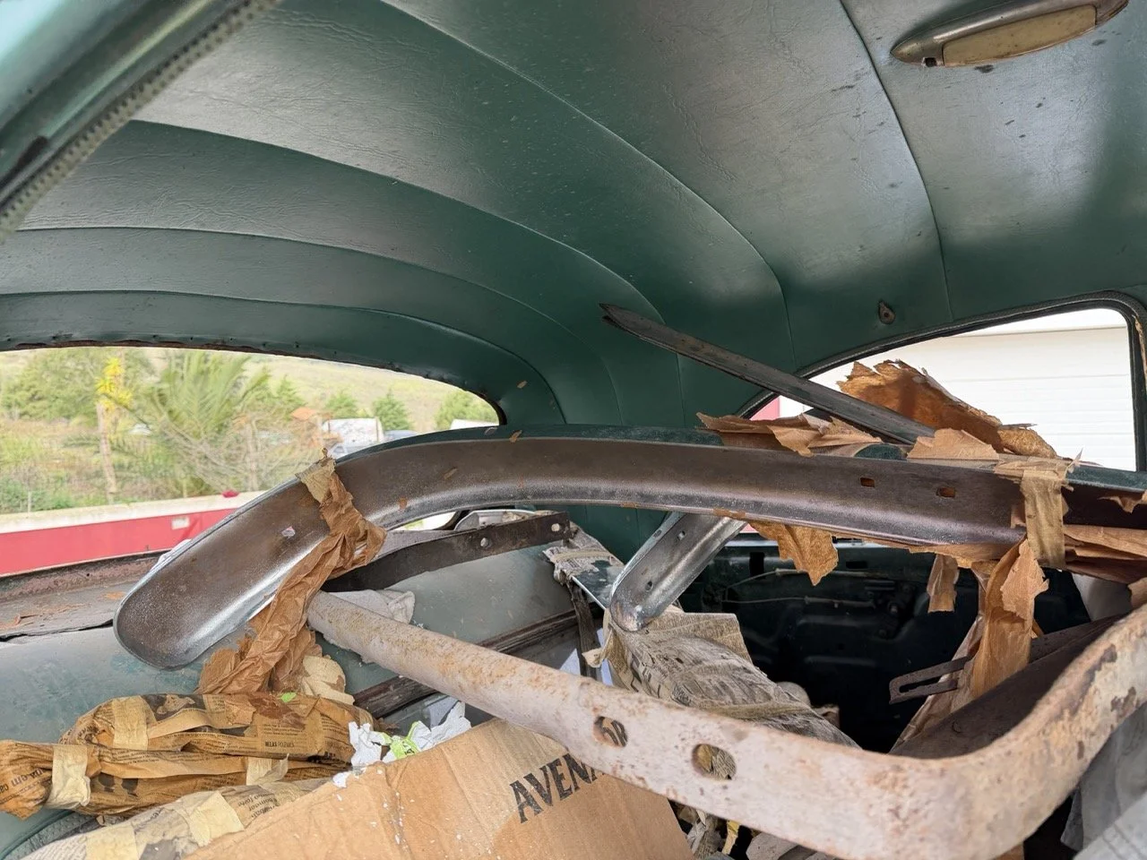 IMG_1790 – grande.jpeg