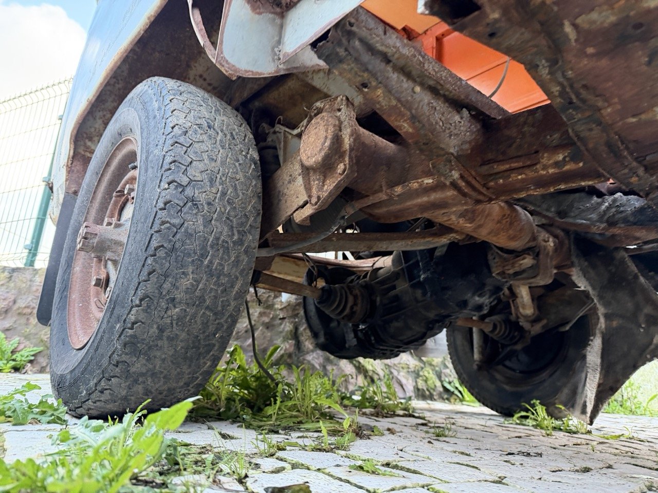 IMG_0861 – grande.jpeg