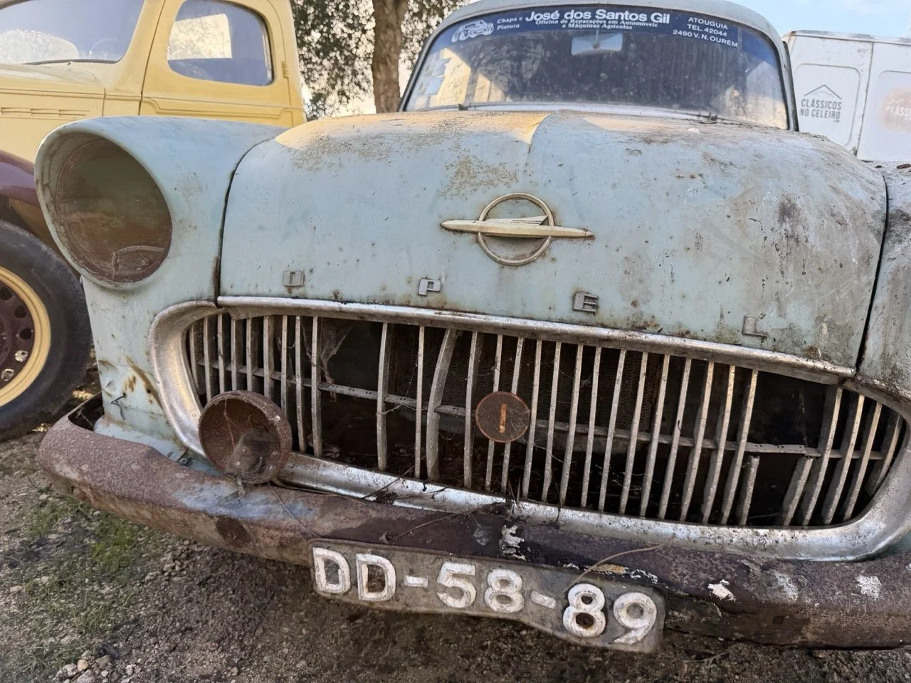 IMG_4058 – grande.jpeg