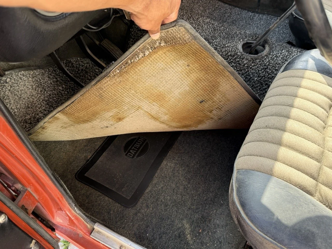 IMG_3641 – grande.jpeg