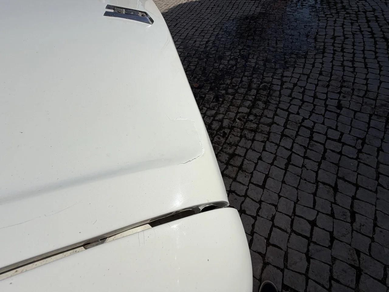 IMG_8591 2 – grande.jpeg