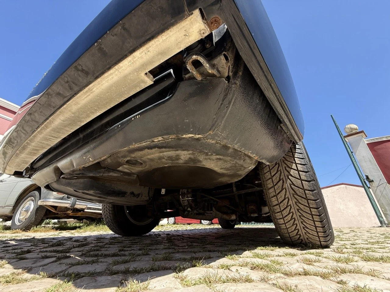 IMG_2237 – grande.jpeg