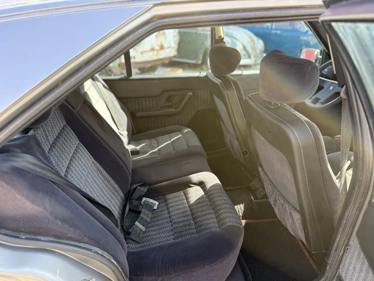 IMG_2539 – grande.jpeg