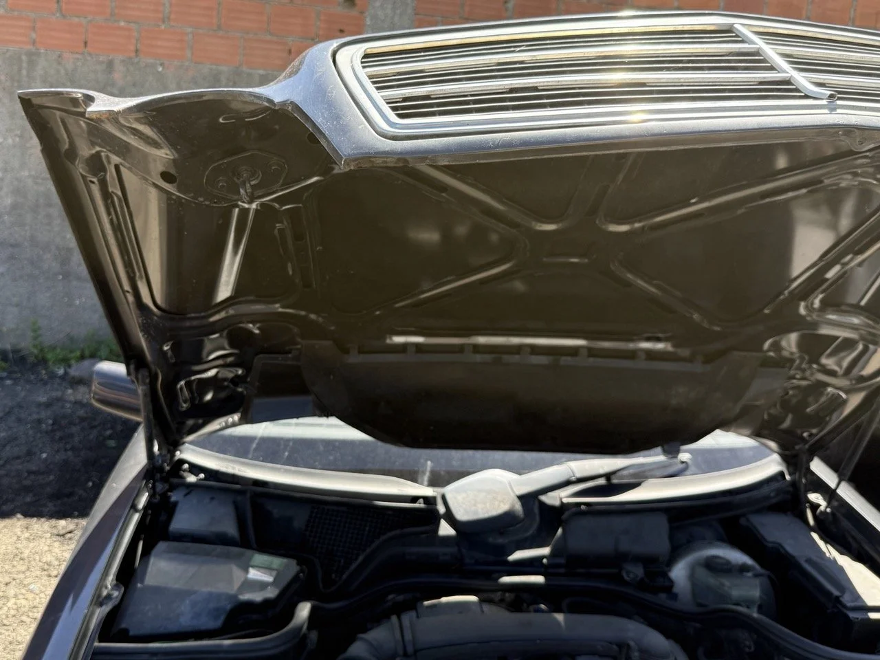 IMG_1779 – grande.jpeg