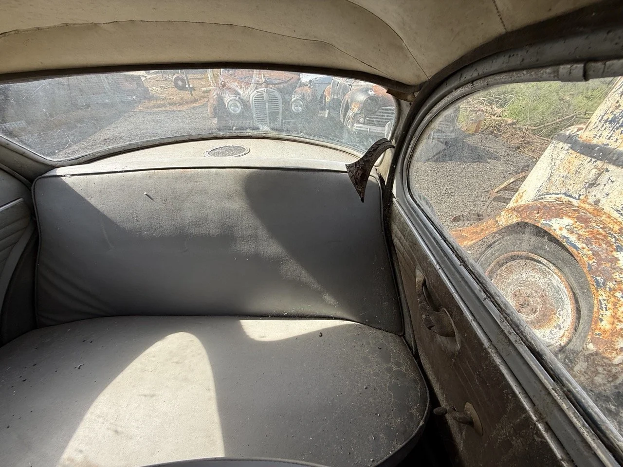 IMG_0351 – grande.jpeg