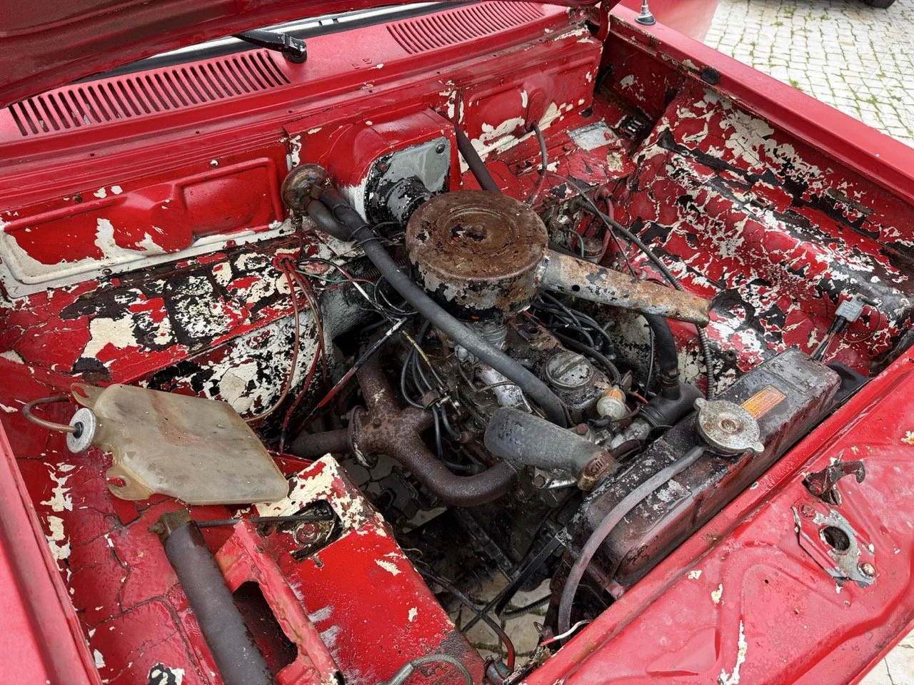 IMG_9676 – grande.jpeg