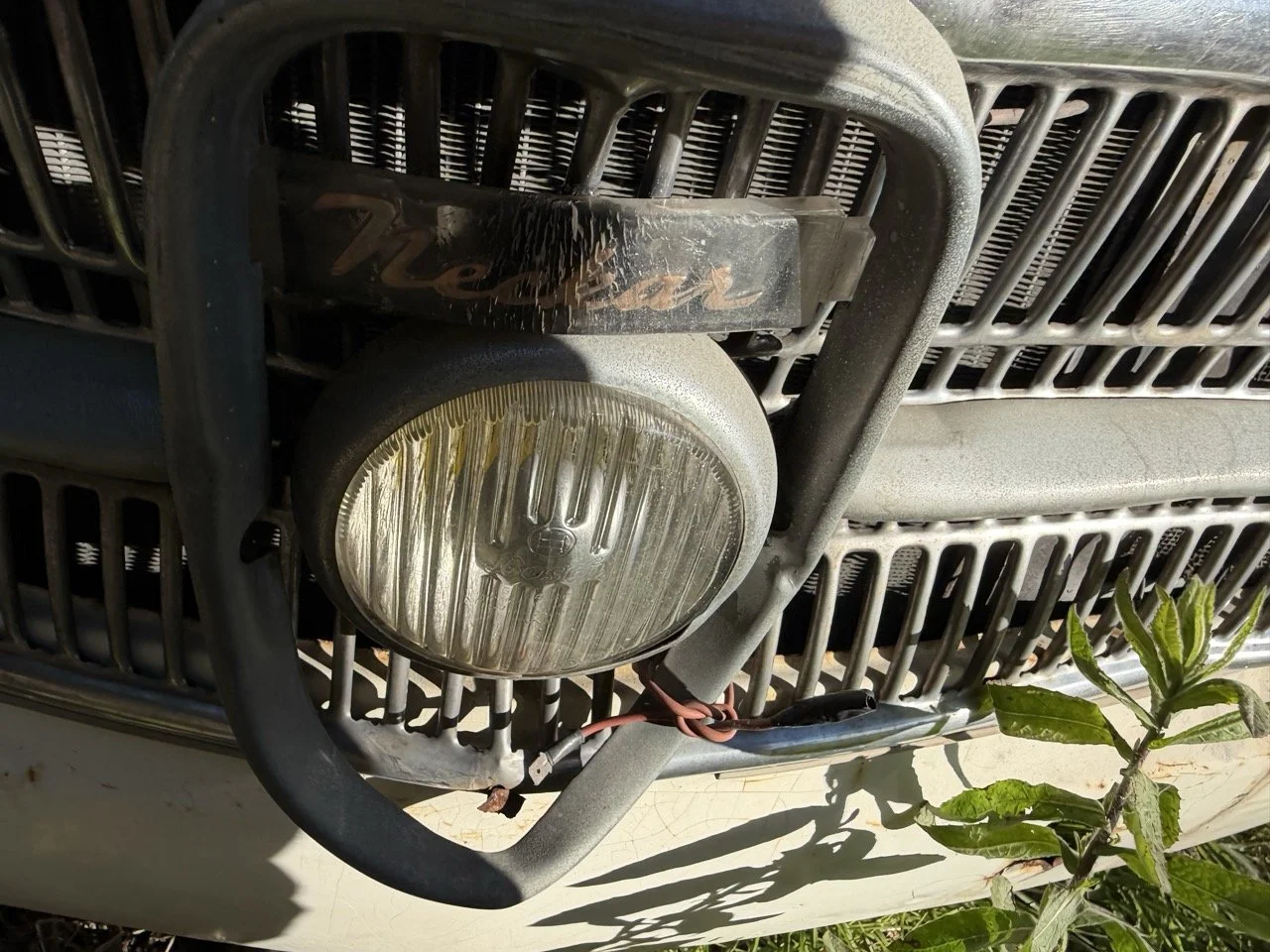 IMG_2525 – grande.jpeg