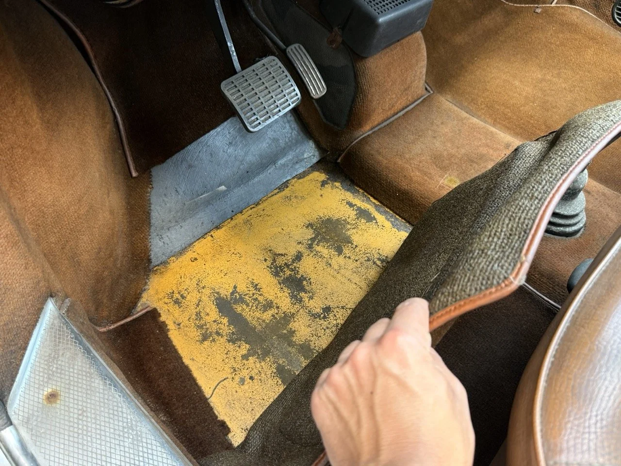 IMG_0590 – grande.jpeg