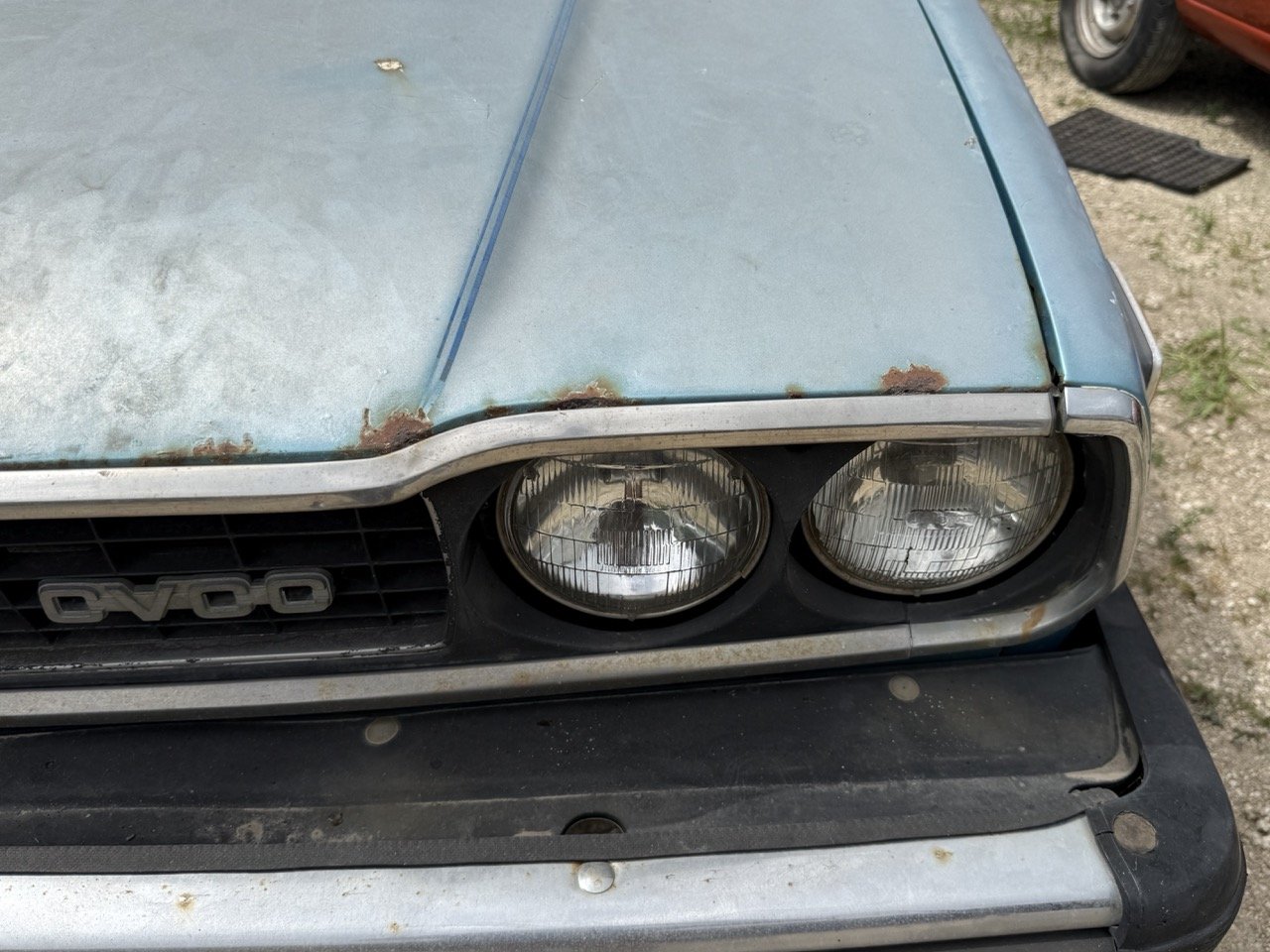 IMG_1557 – grande.jpeg