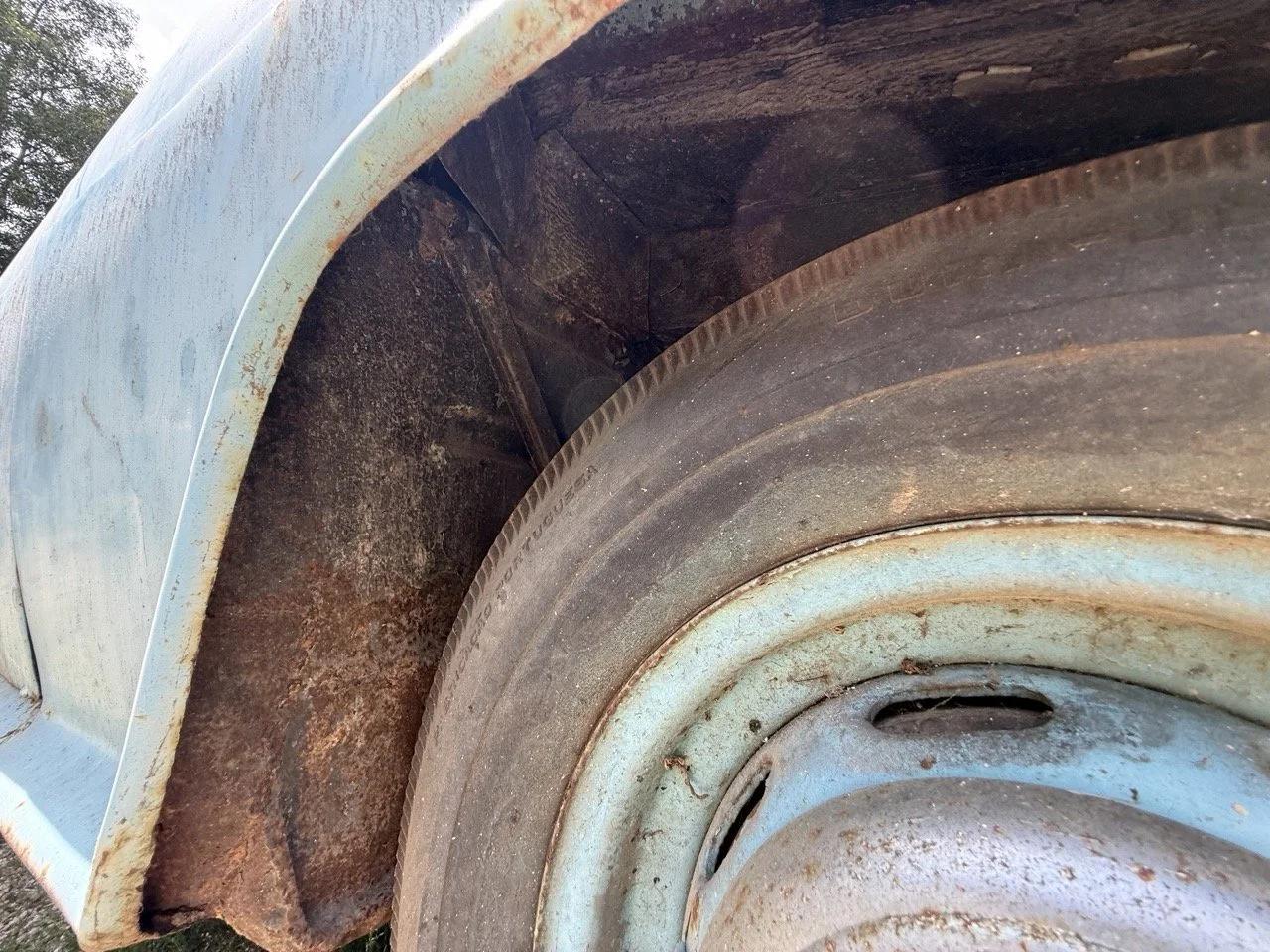 IMG_1412 – grande.jpeg