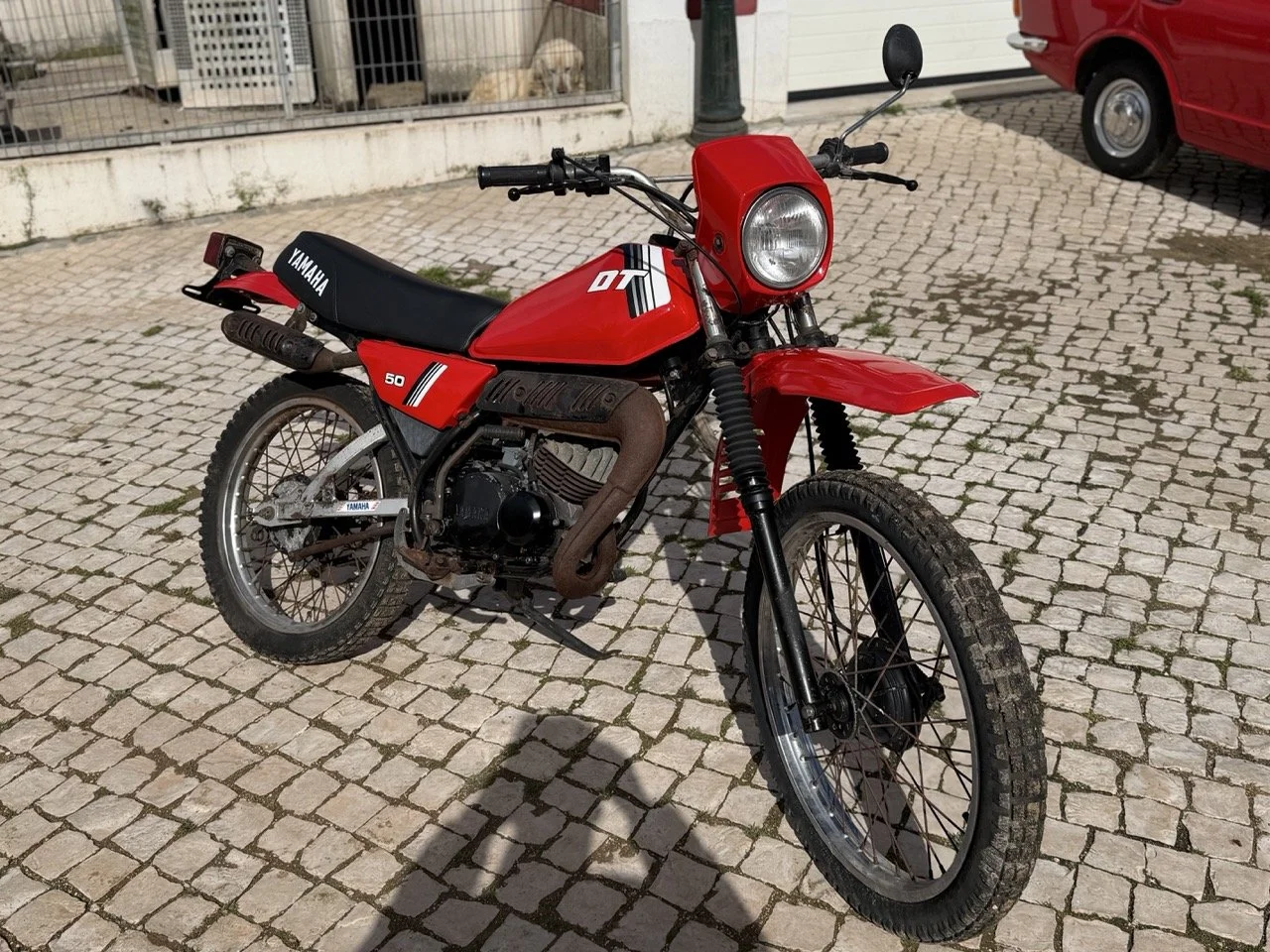 IMG_2149 – grande.jpeg