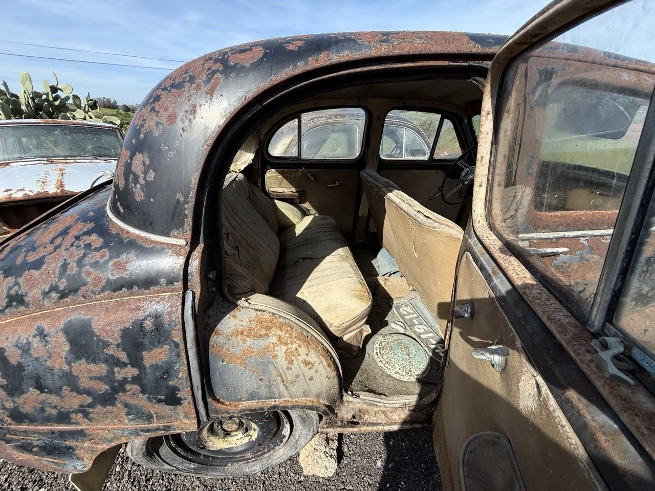 IMG_0476 – grande.jpeg