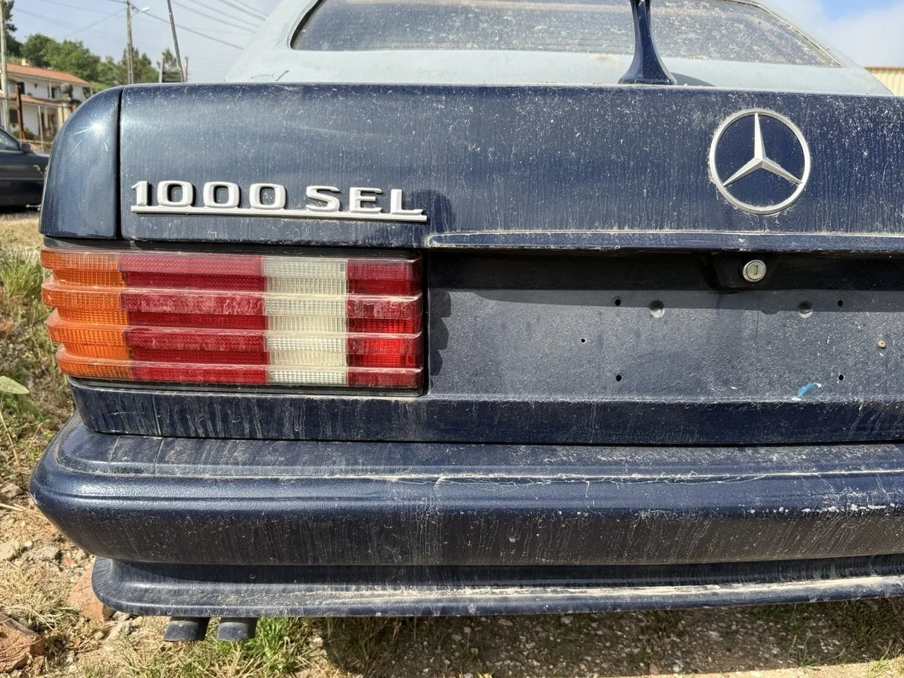 IMG_3401 – grande.jpeg