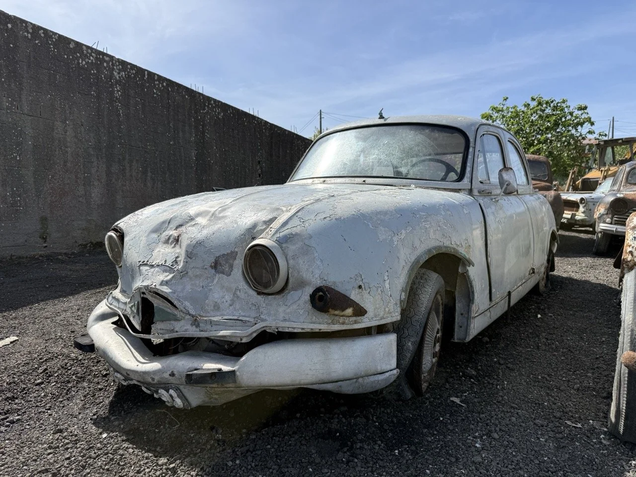 IMG_0316 – grande.jpeg