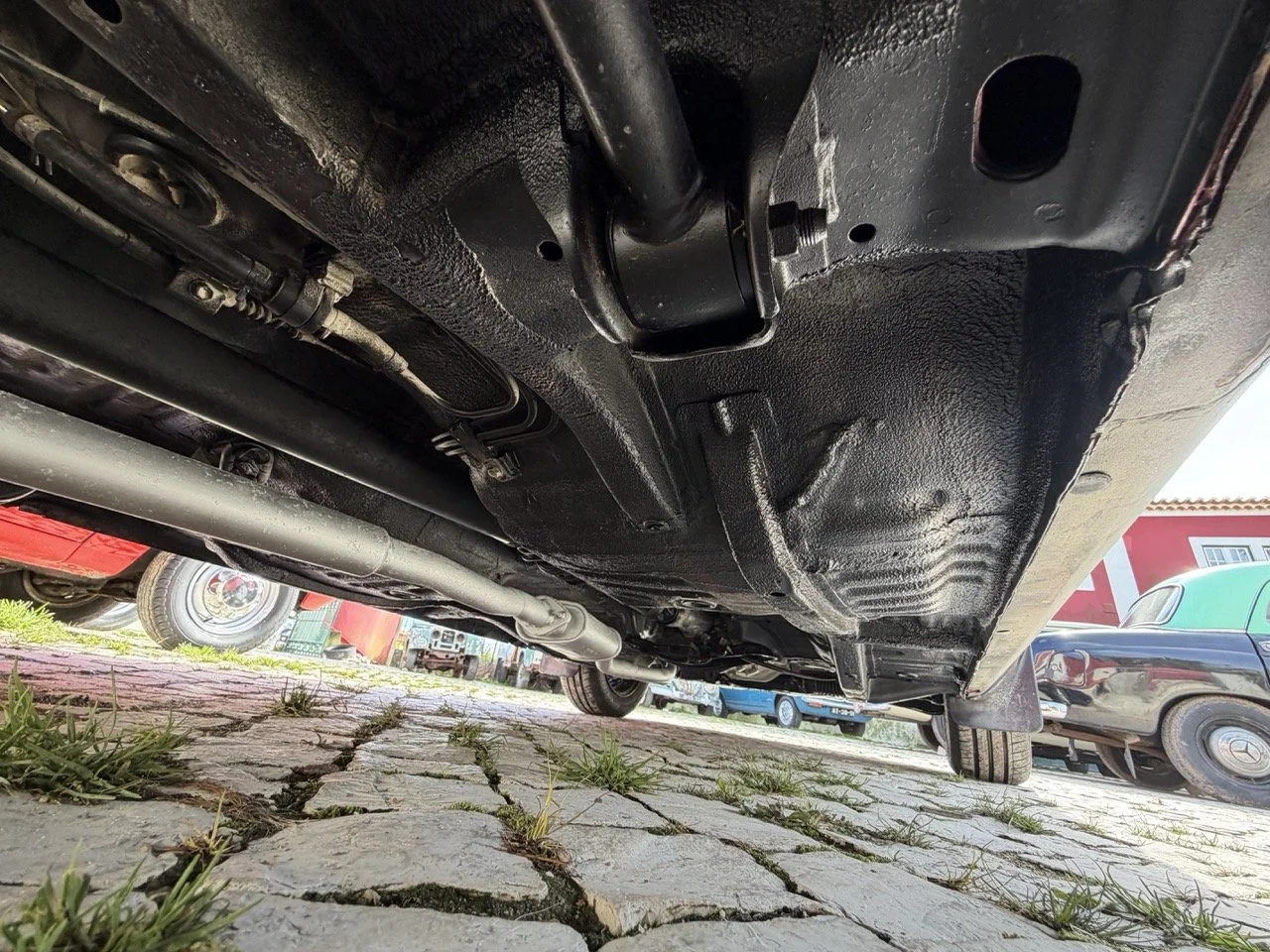 IMG_2456 – grande.jpeg