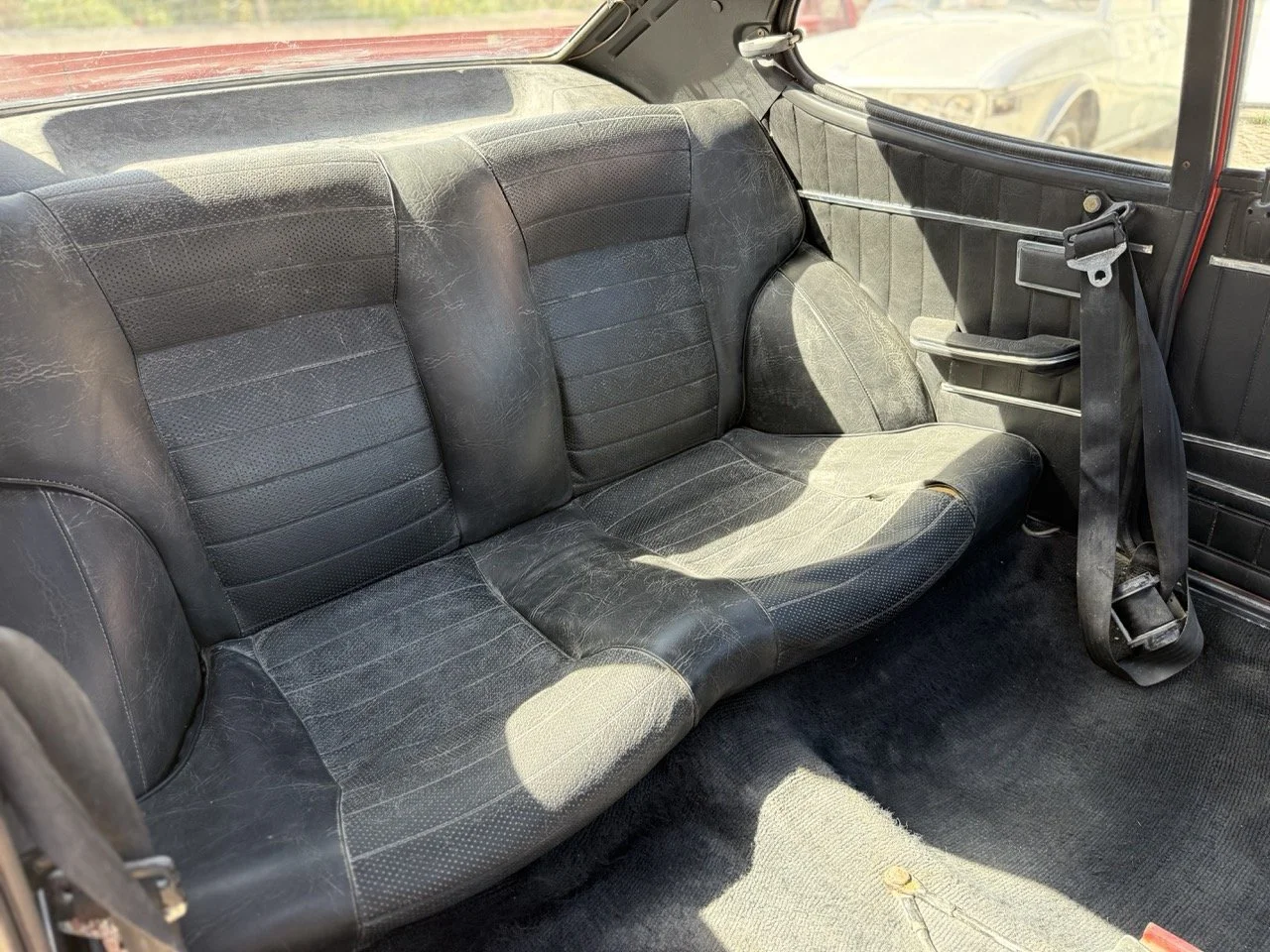 IMG_2275 – grande.jpeg