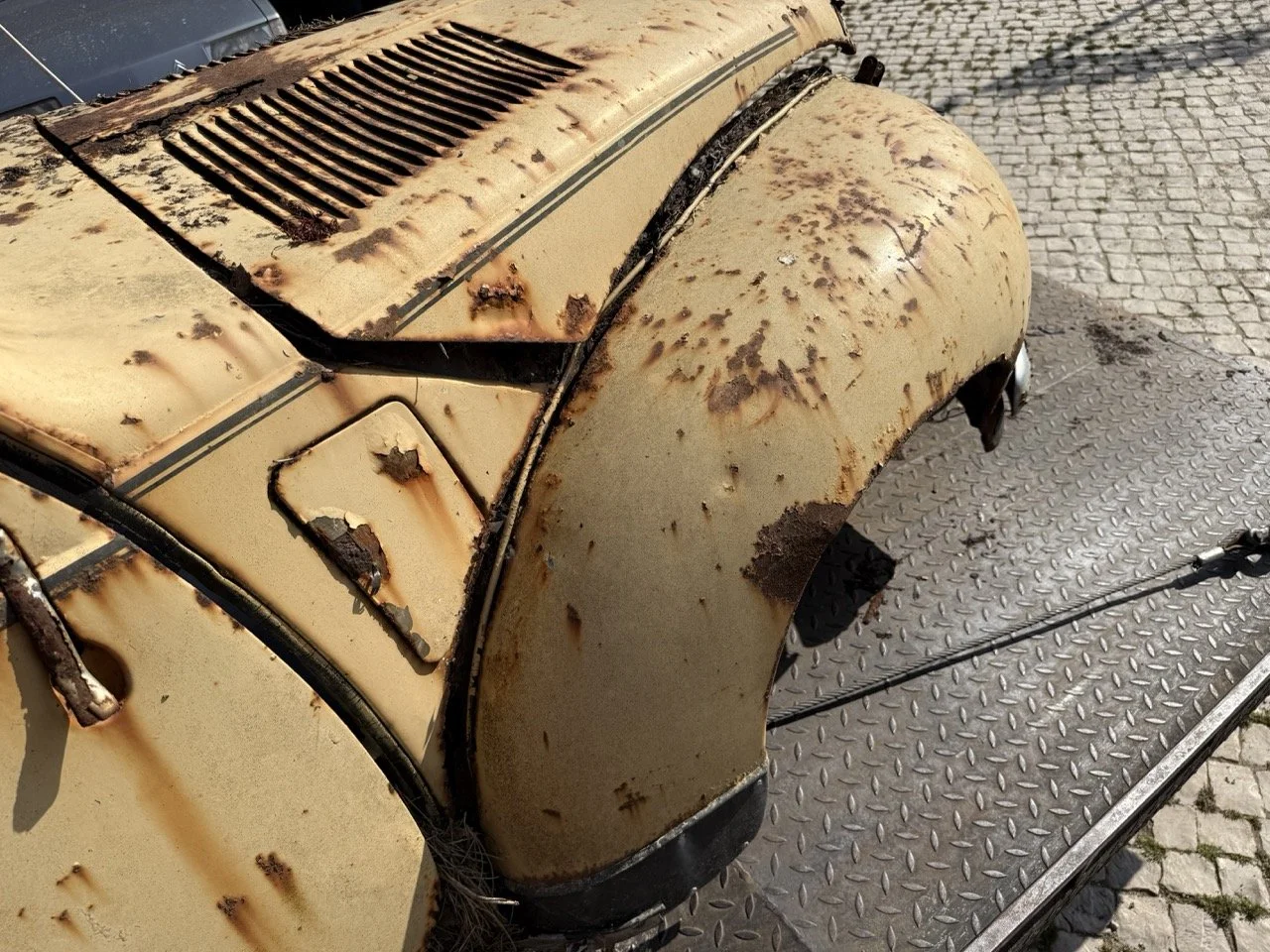 IMG_3184 – grande.jpeg