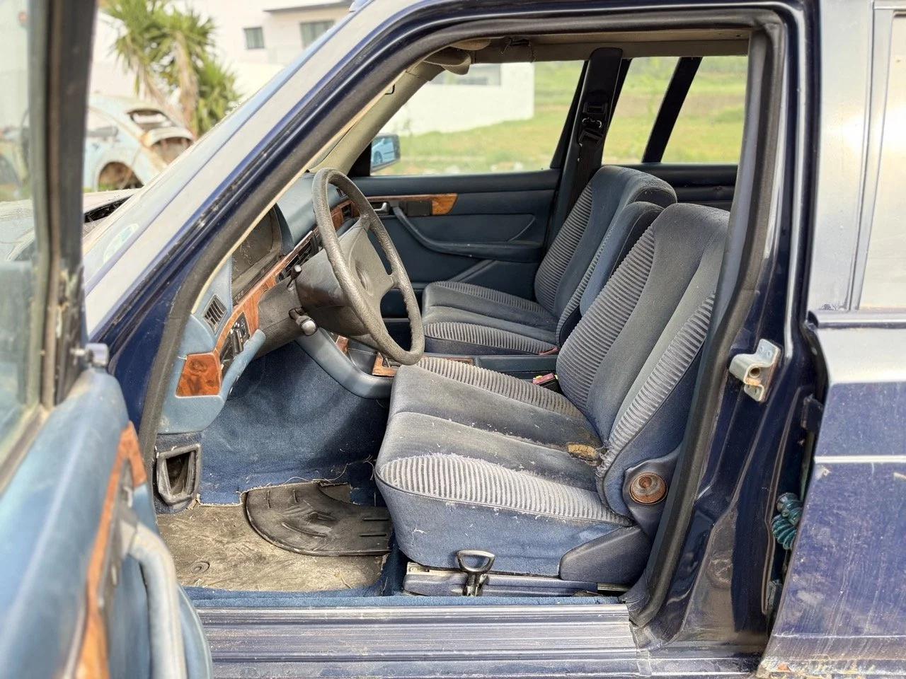 IMG_3351 – grande.jpeg