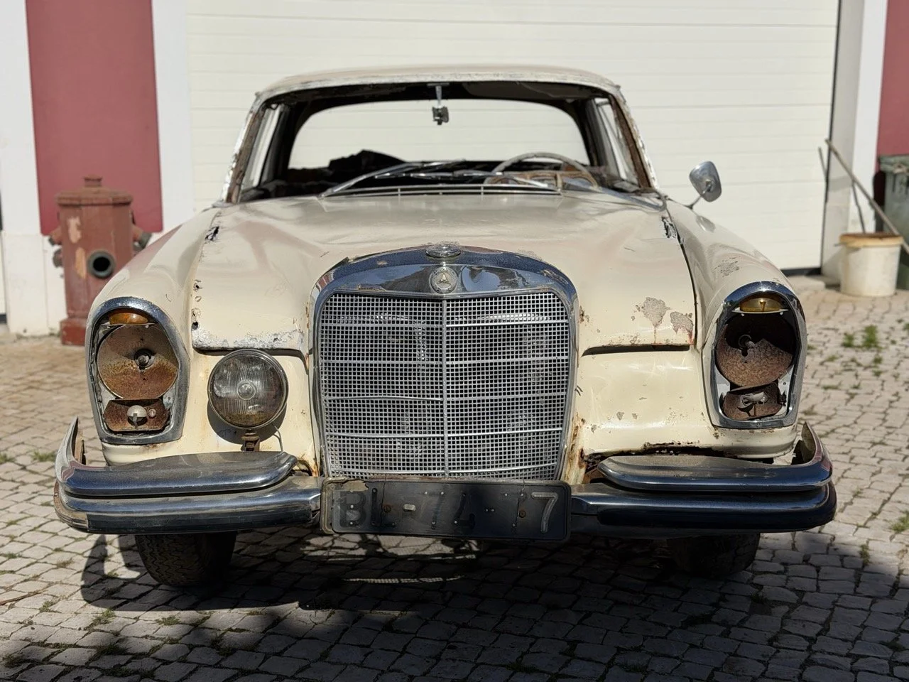 IMG_6960 – grande.jpeg