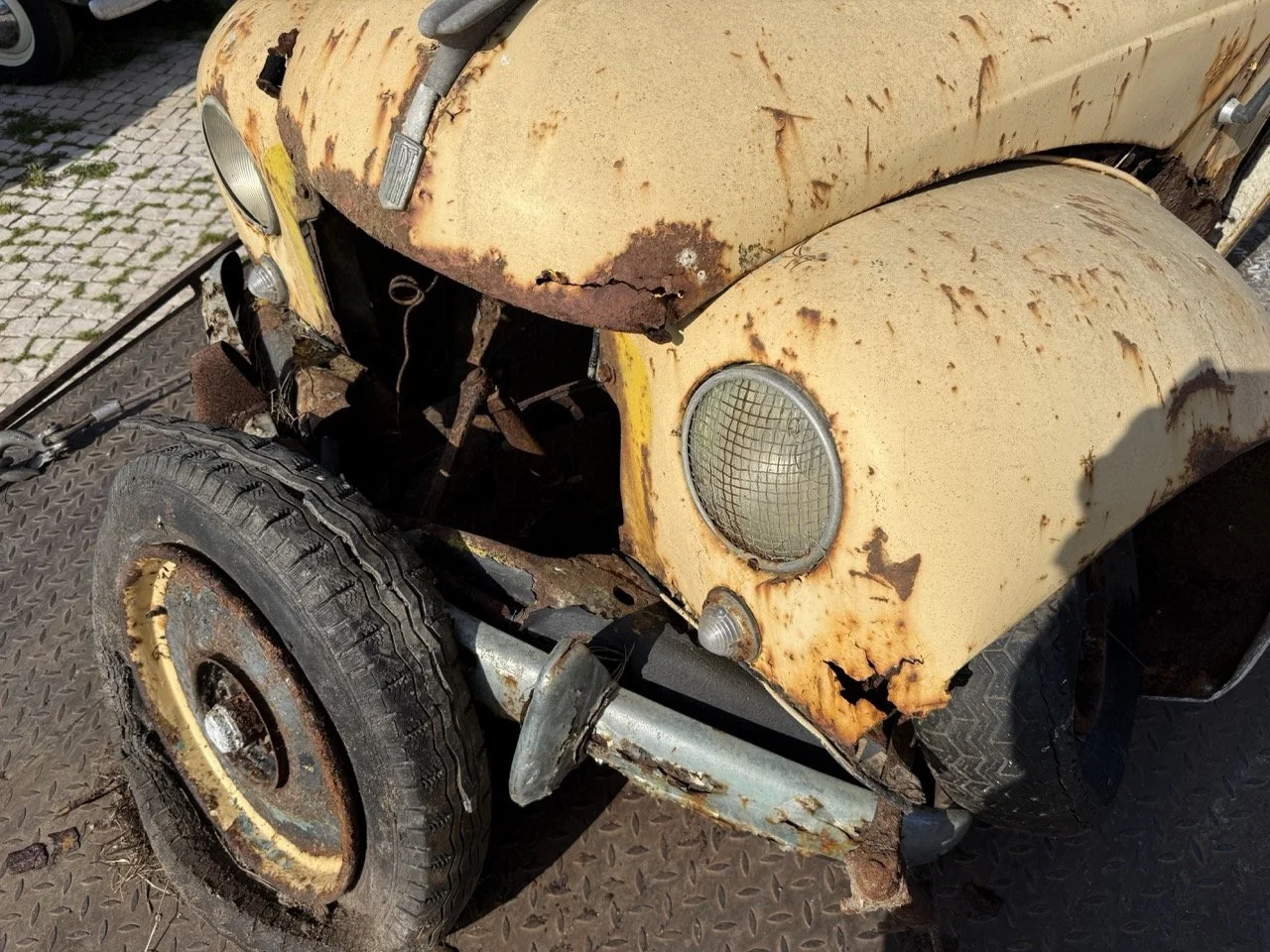 IMG_3179 – grande.jpeg