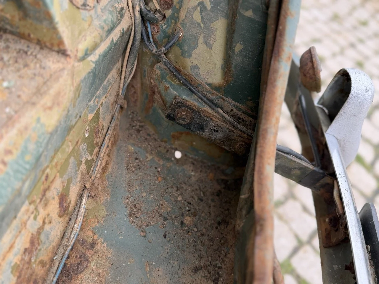 IMG_1180 – grande.jpeg