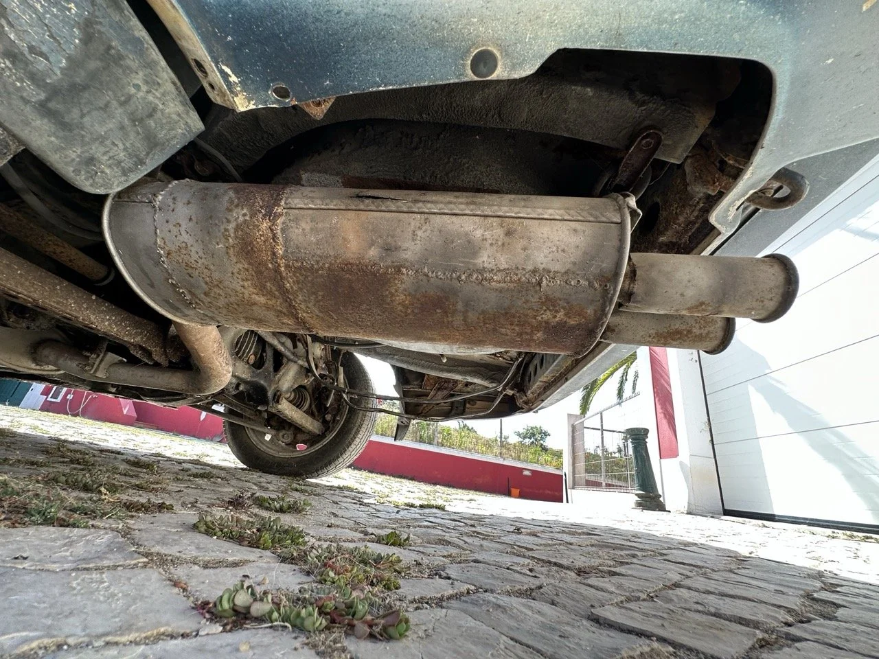 IMG_7249 – grande.jpeg