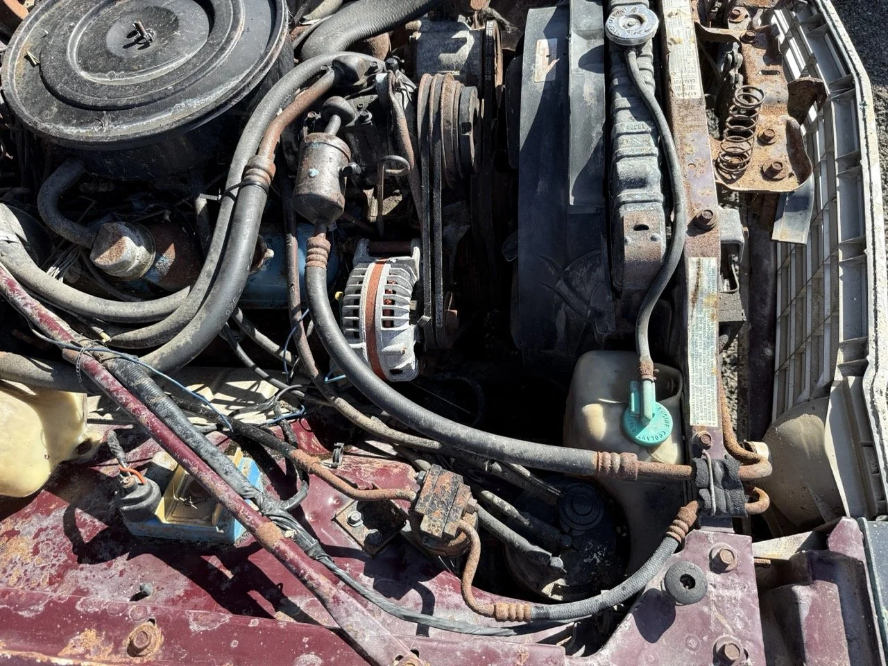 IMG_3036 – grande.jpeg