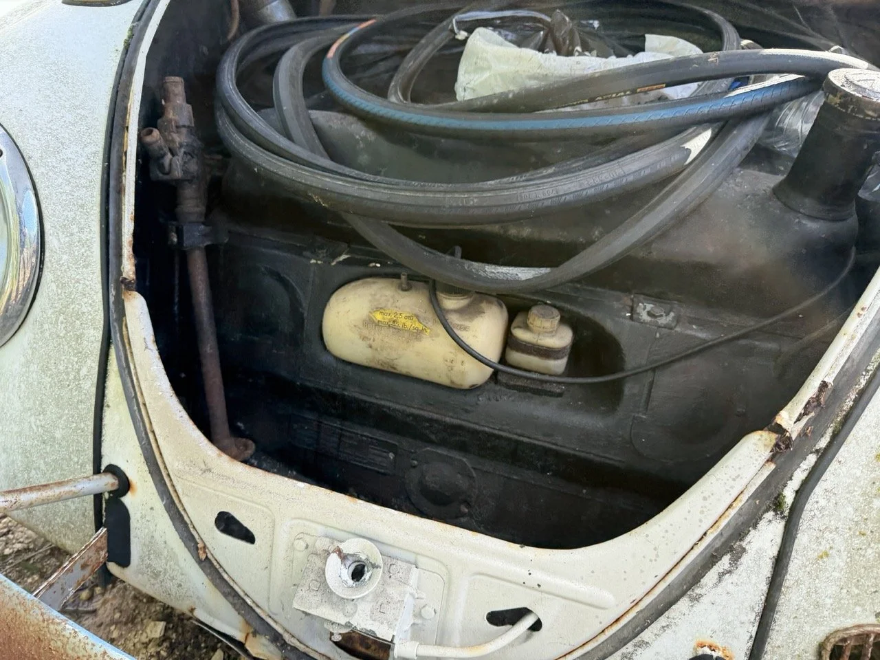 IMG_8607 – grande.jpeg