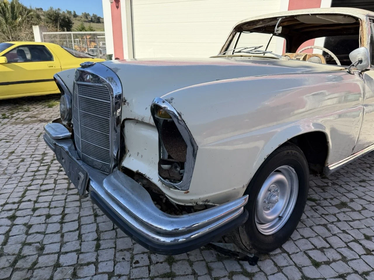 IMG_7032 – grande.jpeg