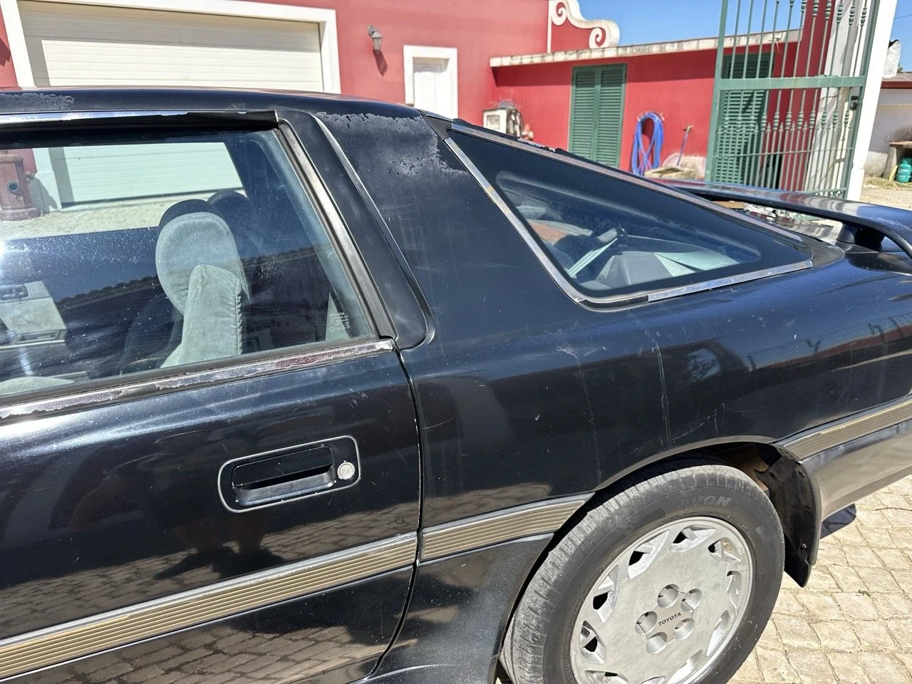 IMG_3169 – grande.jpeg