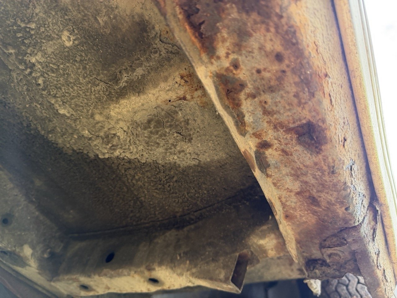 IMG_4908 – grande.jpeg