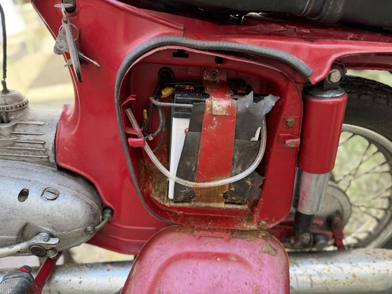 IMG_5909 – grande.jpeg