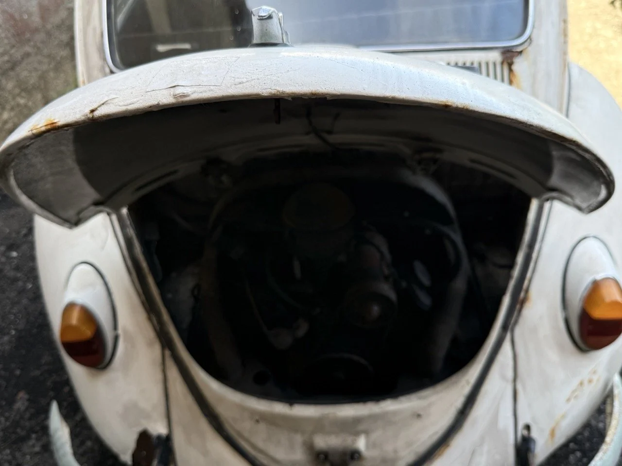 IMG_0701 – grande.jpeg