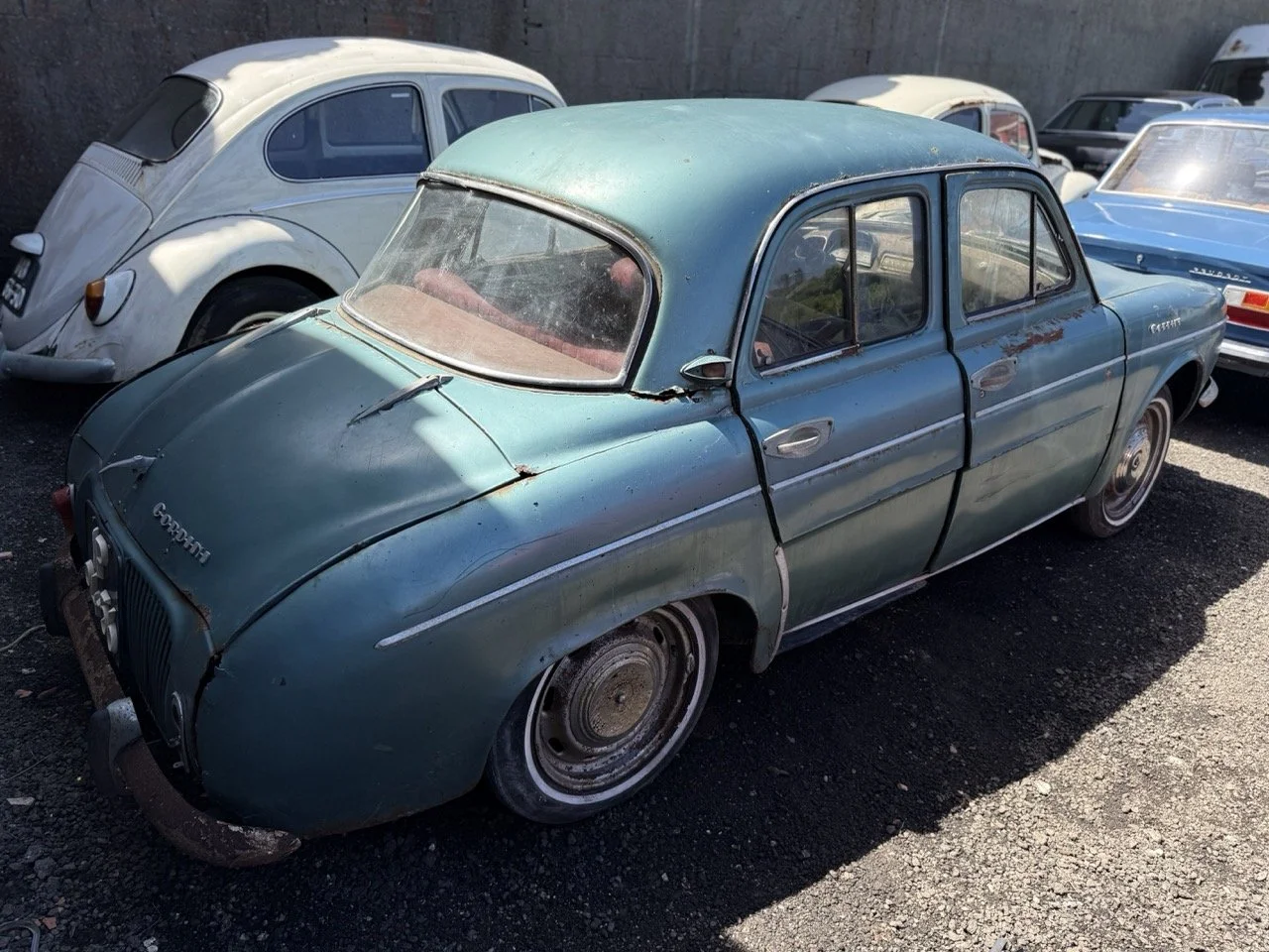 IMG_0822 – grande.jpeg