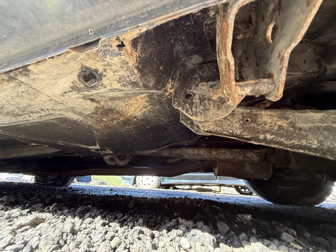 IMG_1224 – grande.jpeg