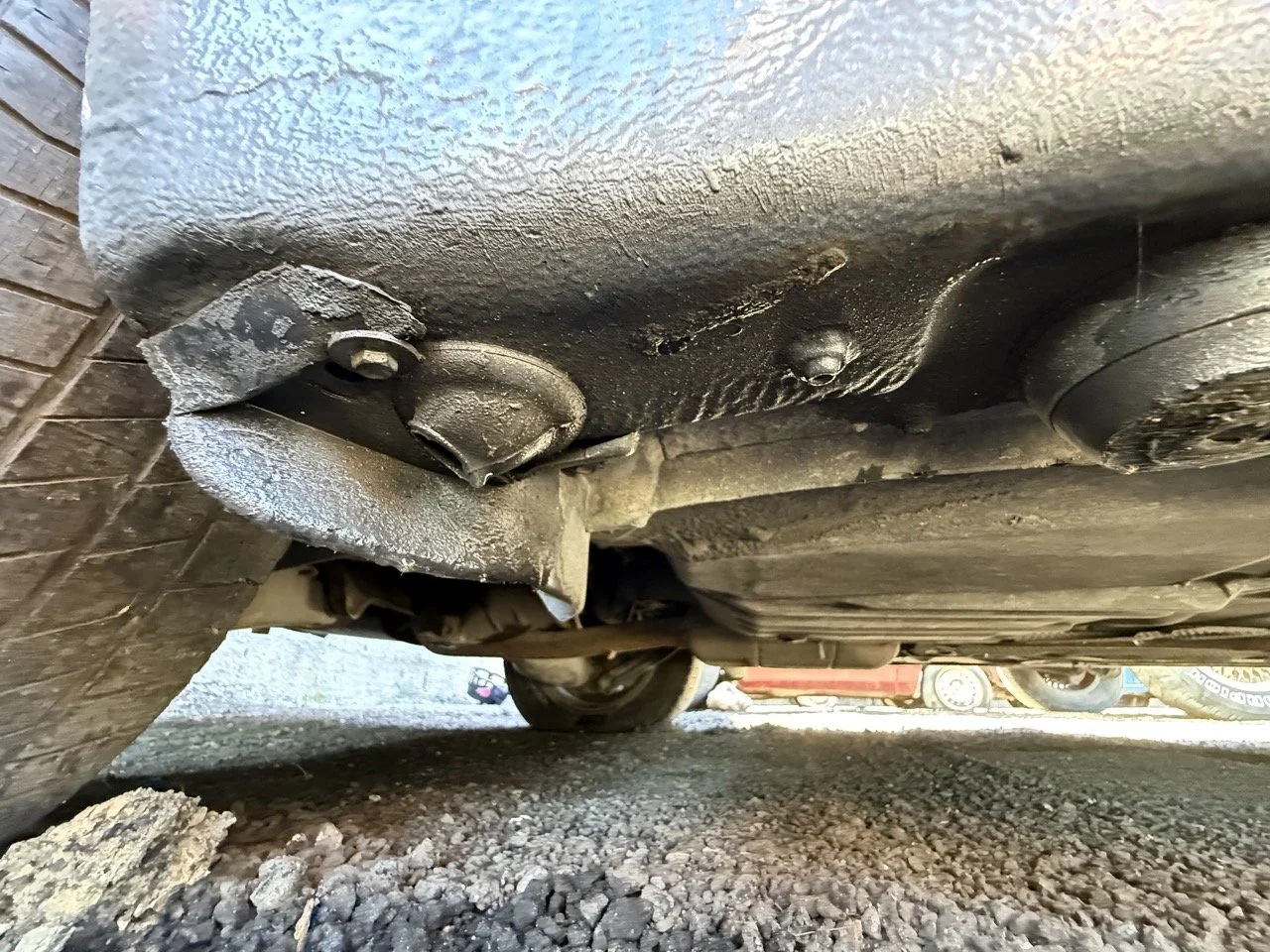 IMG_1803 – grande.jpeg